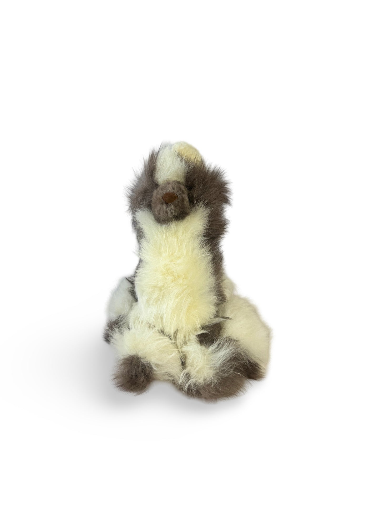 Baby Alpaca