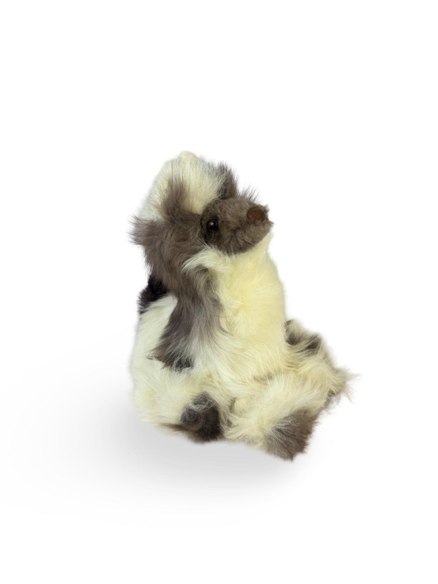 Baby Alpaca
