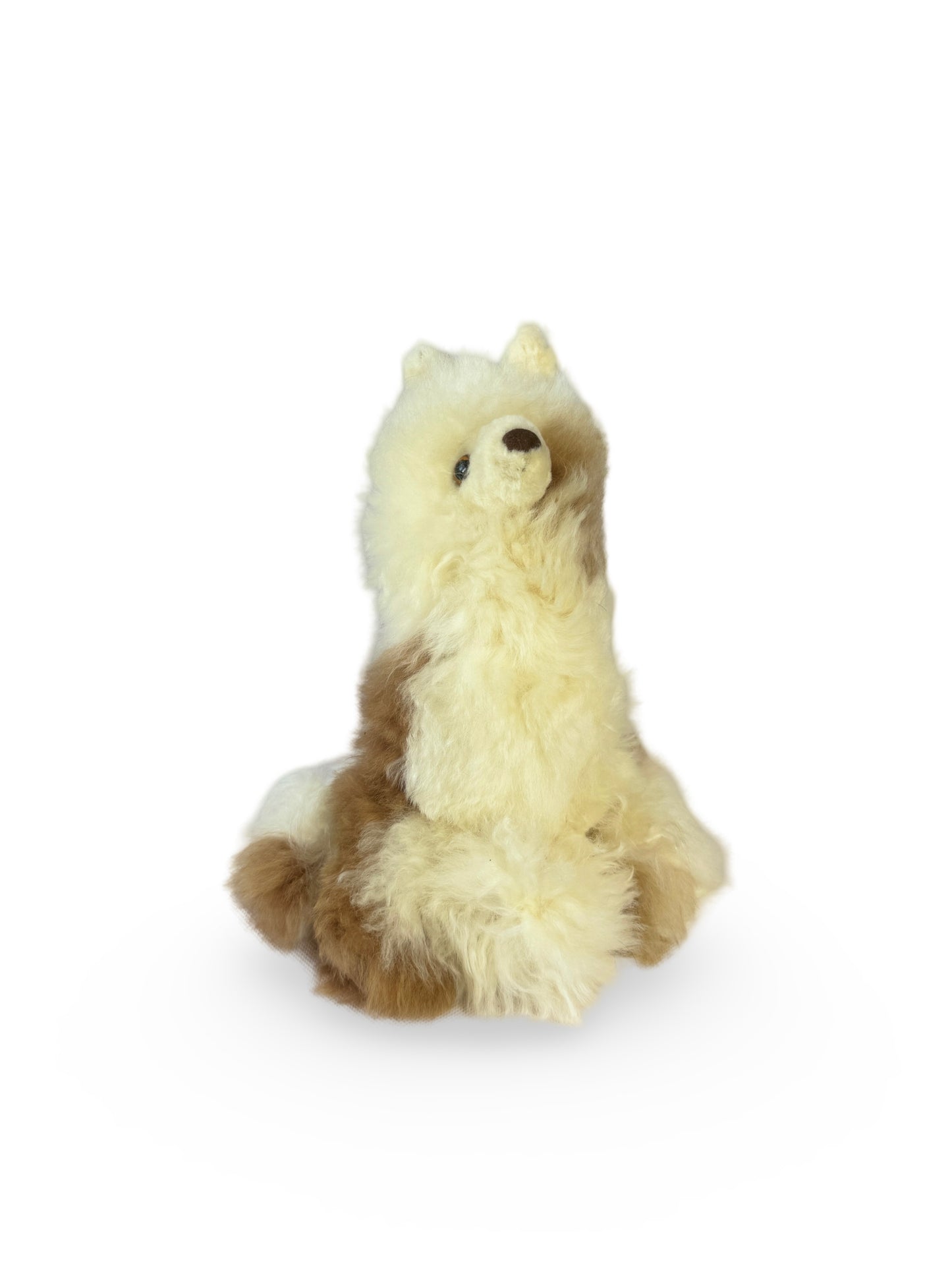 Baby Alpaca