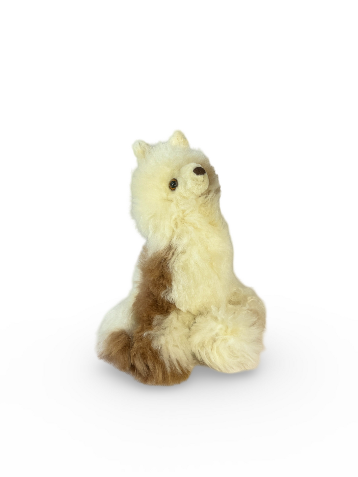 Baby Alpaca